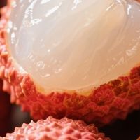 荔枝价格年度变化规律解析