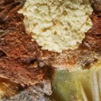 618入手的美食之风味烤鱼
