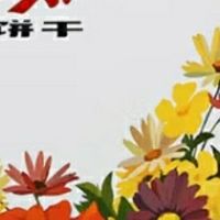 一口酥香，情满端午——义利黄油饼干