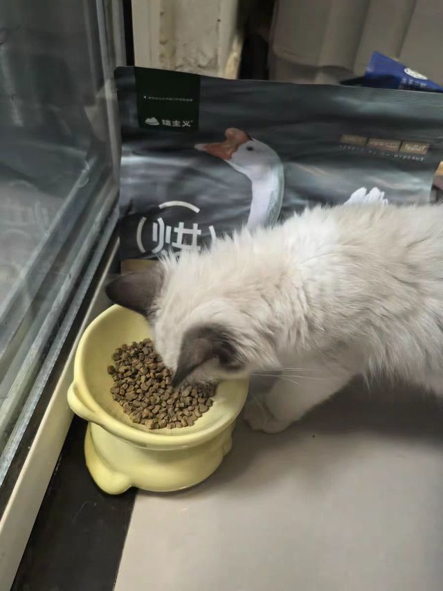 猫主义鹅肉烘焙猫粮推荐