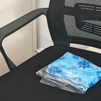 冰垫凉垫降温效果实测确实也是蛮不错