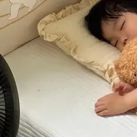 被“吹捧上天”的空气循环扇比空调还好用？真实体验告诉你答案