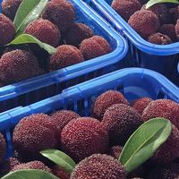 可能是最后一波杨梅了