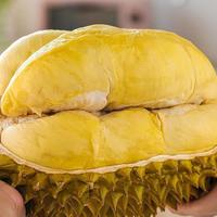 挑榴莲是开口好,还是不开口好?