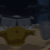 传统鱼缸变智能，一键开启养鱼新体验！当贝鱼缸过滤器 N1 800AI