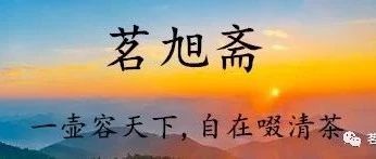也说狮峰龙井群体种（老树蓬）