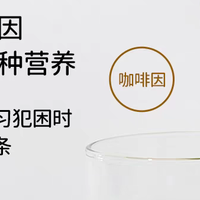 国产抹茶之光:1200目细腻口感