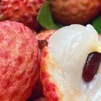 荔枝价格大跳水，消费者实现“荔枝自由”