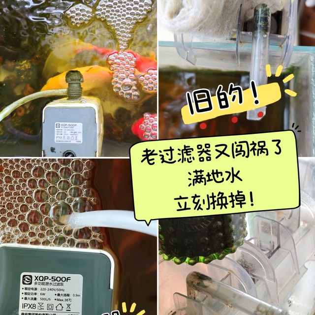 旧过滤器闯祸了，一地水！终于把鱼缸过滤器换新了！安静好操作