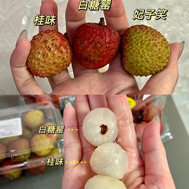 爱吃荔枝的你，分得清荔枝品种不？