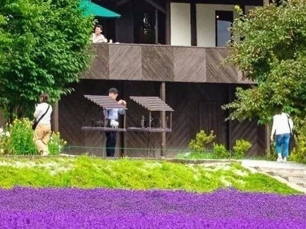 6-9 月日本避暑胜地大赏，清凉一夏就靠它们啦！