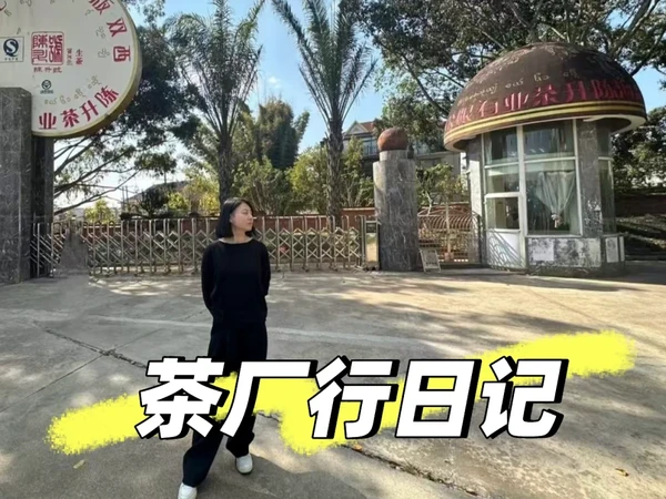在大益、陈升号、下关沱茶，你会发现……