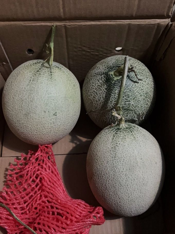泽华果品新鲜水果