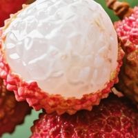 荔枝价格波动的多重因素分析