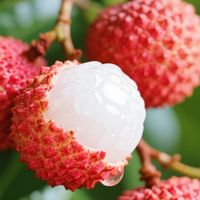 荔枝价格暴跌,消费选择变化
