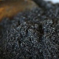 科学解答：黑芝麻每天吃多少最合适？一文读懂不踩坑