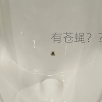 被无数人吐槽的5个“蠢设计”，发现正确用法后：蠢的是我自己