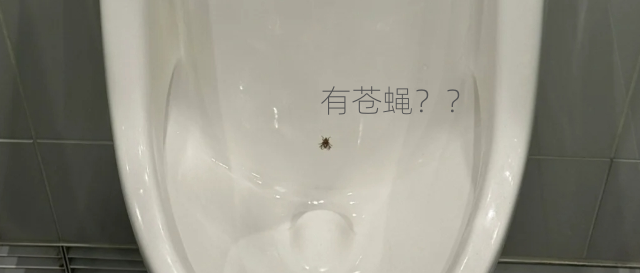 被无数人吐槽的5个“蠢设计”，发现正确用法后：蠢的是我自己