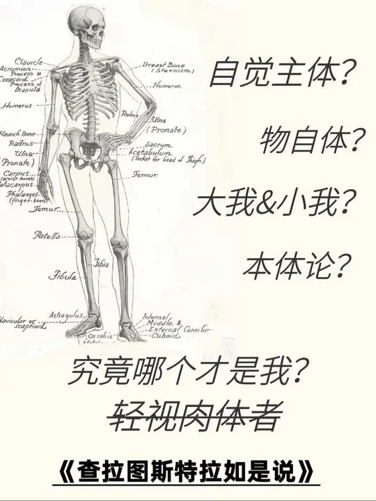 《查拉图斯特拉如是说》轻视肉体者
#哲学 #尼采 #查拉图斯特拉如是说 #阅读分享 #康德