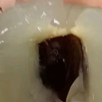 荔枝价格暴跌，我也要尝尝鲜
