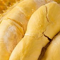 榴莲自由就靠它！京鲜生进口金枕头榴莲