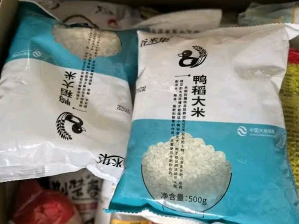 珍珠米