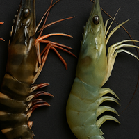 一篇文章带你吃透 12 种常见虾：产地、口感、营养和做法一次看完