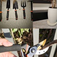 园艺老司机私藏！这些养花工具让打理花园超轻松~