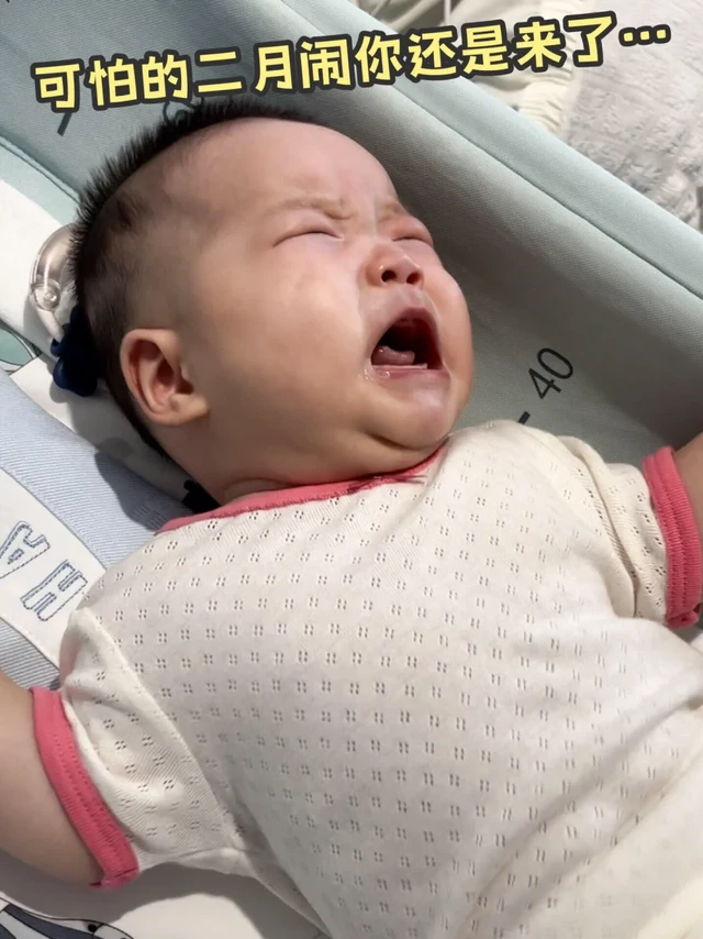 二月闹肠胀气再见！我现在强的可怕