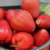 618网购海南三亚红宝石莲雾，安全下车啦！