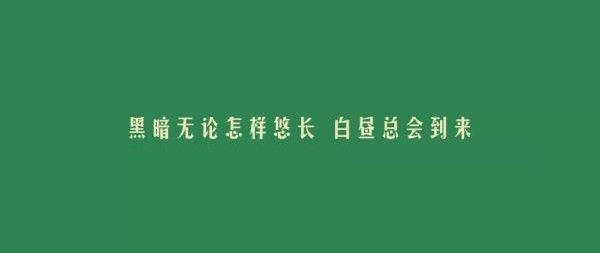 苏超现象级火爆背后：2025年的辉煌能否延续到2026年？