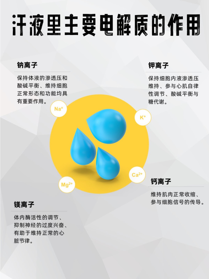 迈胜运动户外