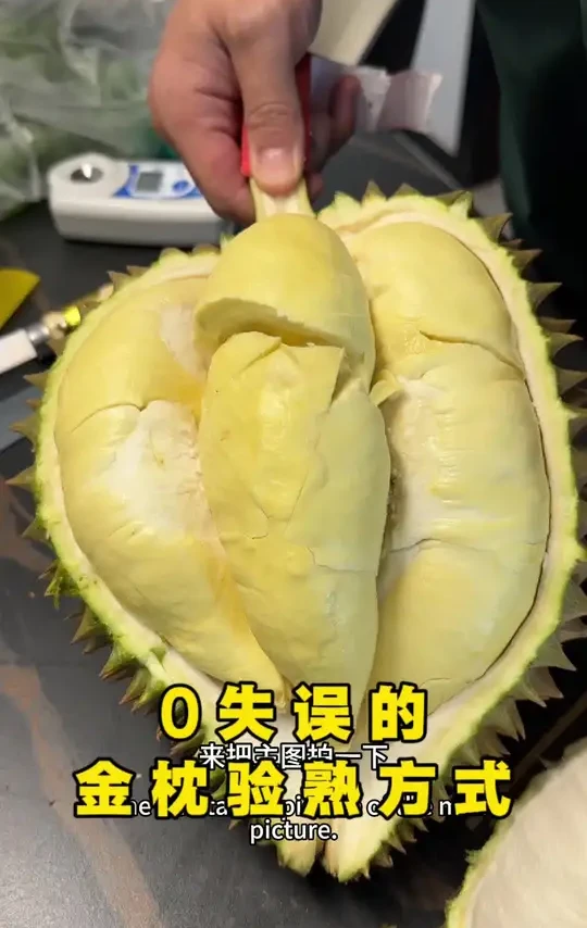 金枕榴莲不会失误的开果验熟开果教程。 #爱吃榴莲的看过来 #开榴莲 #正宗泰国进口榴莲 #口感特别好