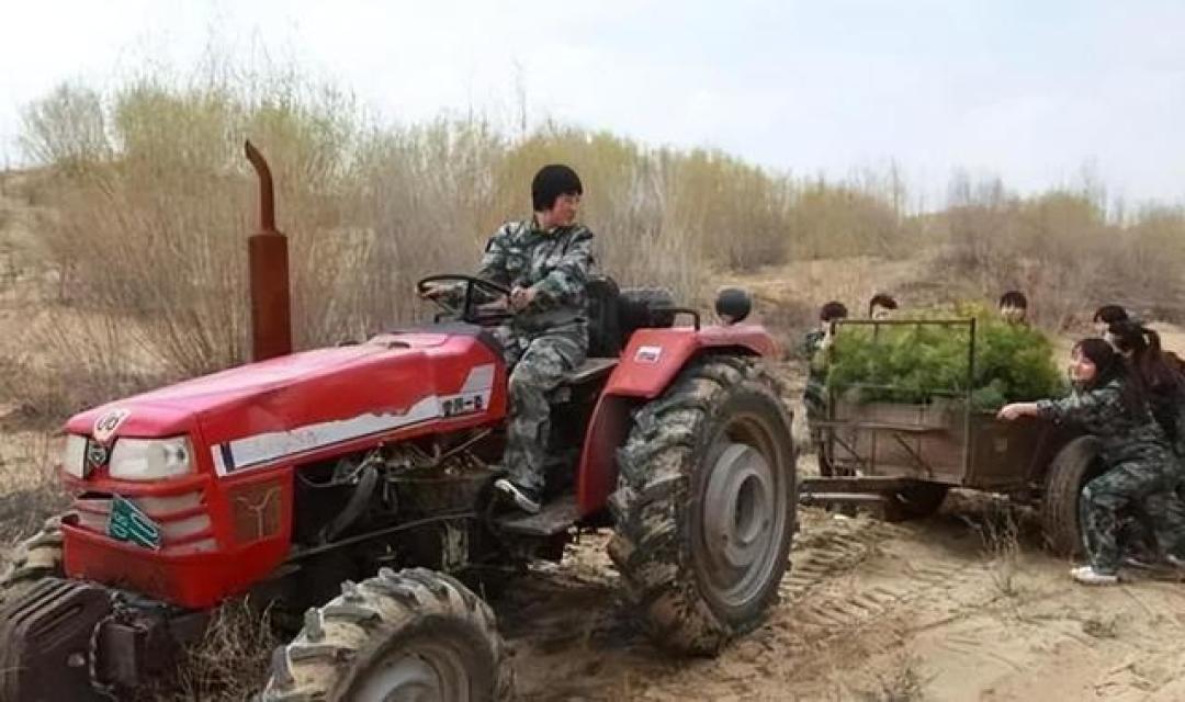 黄沙退场绿洲生长:世界首个人工逆转沙漠即将诞生