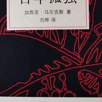 《百年孤独》新版：魔幻现实的巅峰