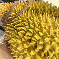 618闭眼入！泰国金枕榴莲，实现榴莲自由