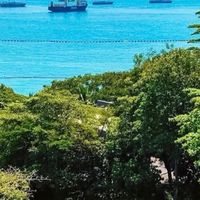 穿搭必备，雷朋太阳镜来啦
