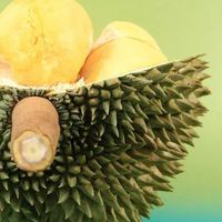 618生鲜盛宴：鲜活时令美味