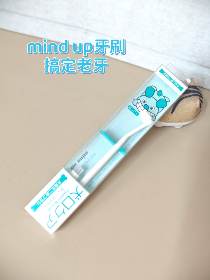 宠物洗护