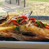 渔传播海南冰鲜三去龙趸石斑鱼：现捞现发的海味直送