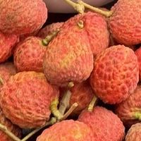 指尖轻点，甜蜜直达！网购荔枝的奇妙之旅