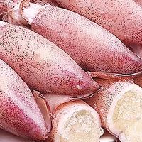 海兔子满籽鲜活笔管鱼海鲜新鲜全籽籽乌冷冻墨鱼仔乌贼小鱿鱼水产