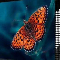 小米新品体验记：手机、电视、生态链产品使用感受分享