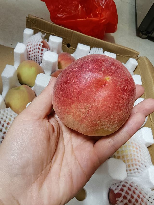 当季水蜜桃甜蜜上线，你买到了吗