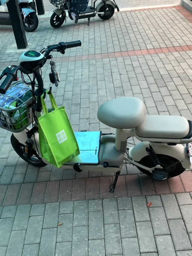 pdd百亿补贴1259爱玛欢乐豆安全下车全流程