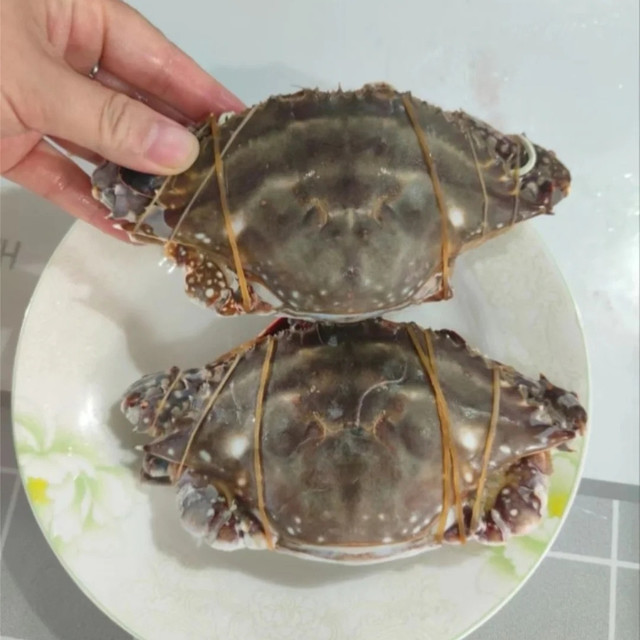 拾鲜生舟山特大梭子蟹：3斤深海鲜味，一口尝尽大海的馈赠