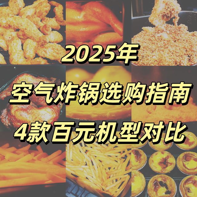 2025年空气炸锅选购指南，4款百元机型对比