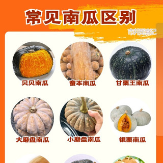 南瓜的9大常见品种，哪种能蒸，哪种适合炒，区别很大，别买错了