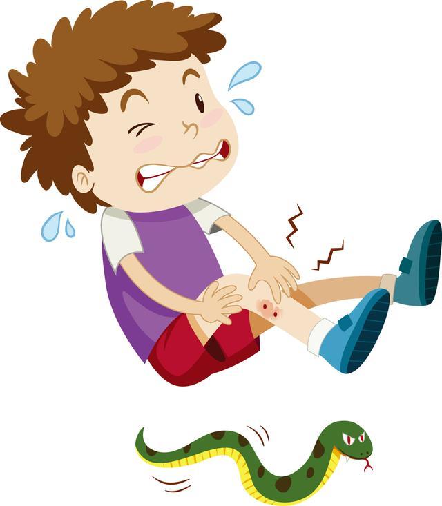 夏季蛇类出没，保命秘笈赶快收藏