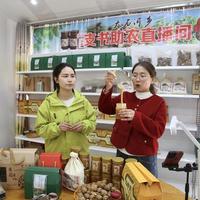 村支书直播带货各显神通 科技流量赋能乡村振兴新路径